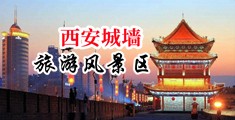 中国视频操逼中国陕西-西安城墙旅游风景区